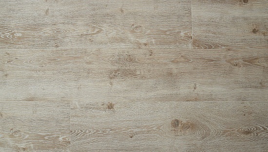 Дуб Манифик 12156