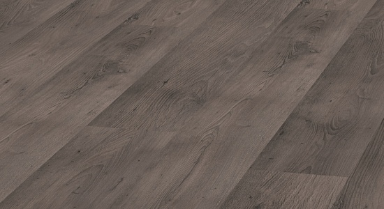 Дуб Скальный D 3343