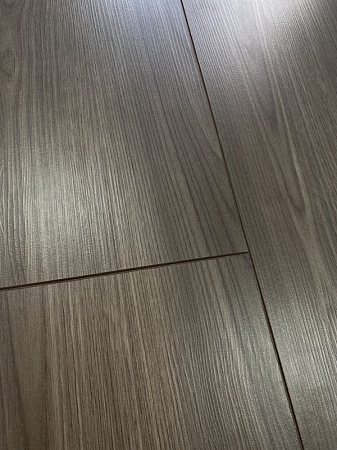 Дуб Сарагоса