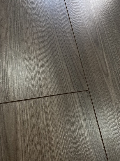 Дуб Сарагоса