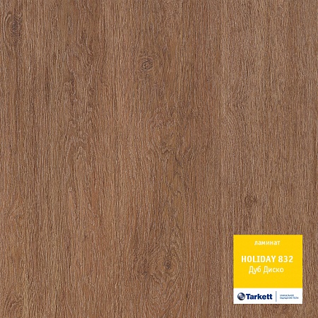 Дуб диско 504022059