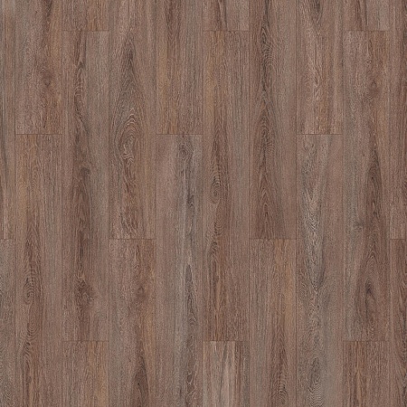 Кастеллан 504034037