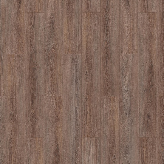 Кастеллан 504034037