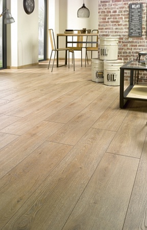 Дуб Пролин S535