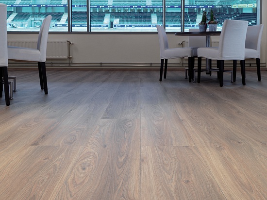 Дуб Каньон светлый 08520