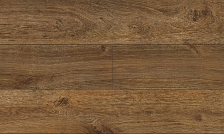 Дуб Осло 04431