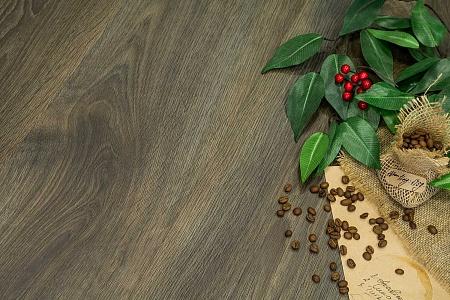 Дуб Бергамо FF-1975