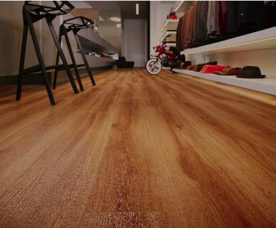 Клён Верден FF-1569