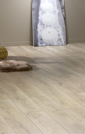 Дуб Шотландский S 407