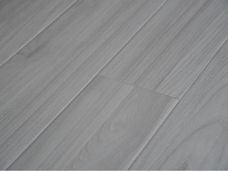 Вяз Нортон 72532