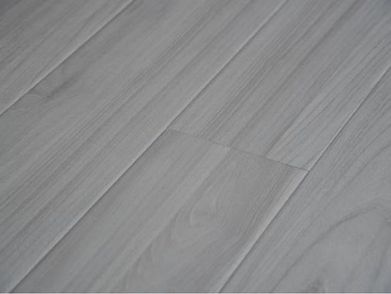 Вяз Нортон 72532