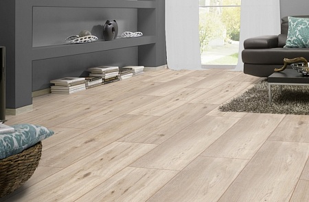 Дуб Лувр D 3879