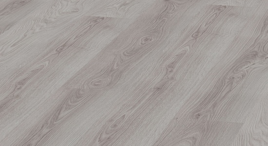 Платан Impresion D 3334