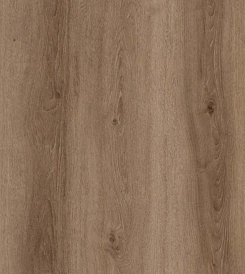 Дуб натуральный FP955