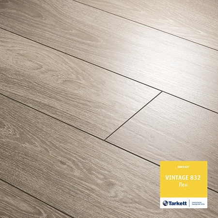 Дуб лен 8389157