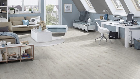 Дуб Шантилли 5953