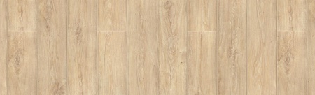 Астер 504108047