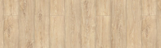 Астер 504108047