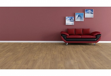 Дуб Гингер D 2026