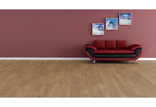 Дуб Гингер D 2026