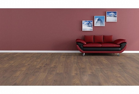 Дуб Гарда D 3104