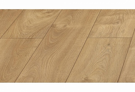 Дуб Ливорно D 3033