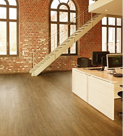 Сосна Парма FF-1583