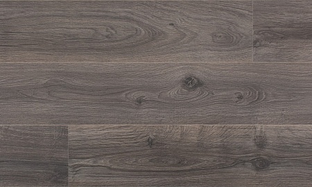 Дуб Стокгольм 04601