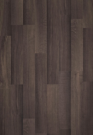 Дуб Королевский 8512