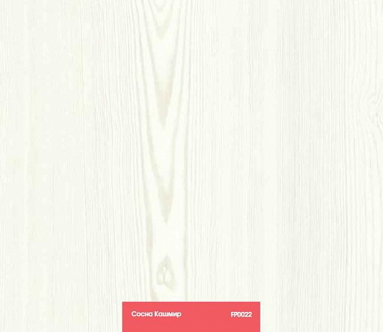 Сосна Кашмир FP0022