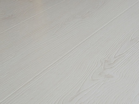 Дуб Белый 5501