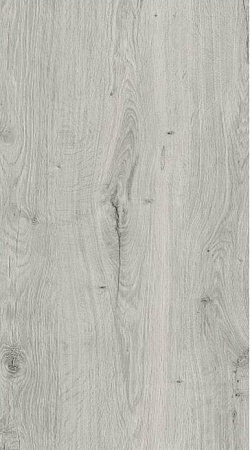 Дуб Грейс ID72