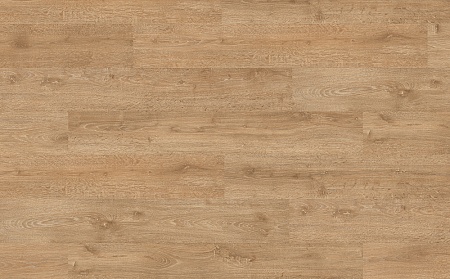 EPL134 Дуб Ильмень GAG