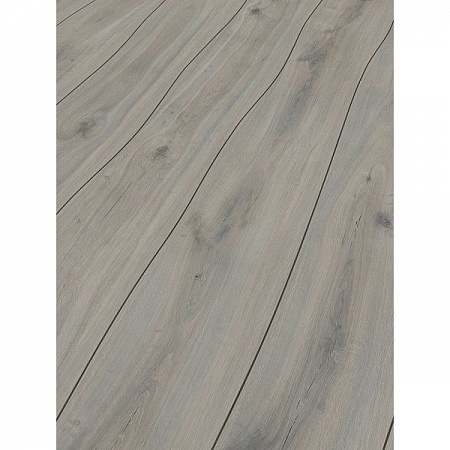 Дуб Тайдал К 074