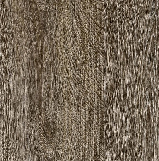 Дуб Шоко 2802