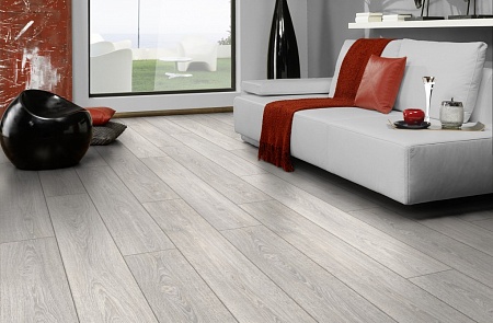 Дуб Регуляр 2800