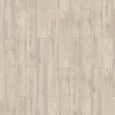 Мунлайт 504445006