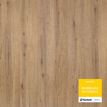 Дуб Марсель 504034021