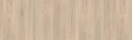 Темпера 
504015080