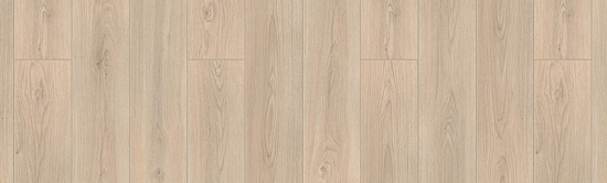 Темпера 
504015080