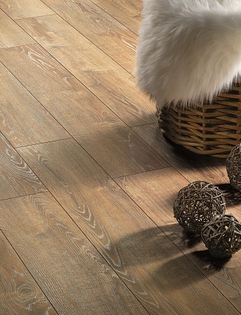 Дуб Балеарский S622