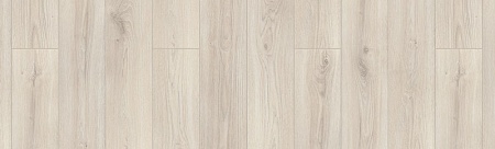 Баядерка 504426016