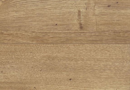 Кедр Ливанский D 3344