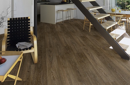 Дуб Шоко 2802