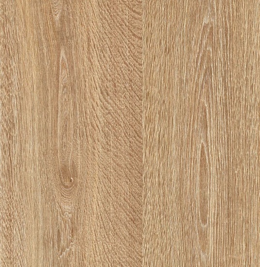 Дуб Инженариус 2801