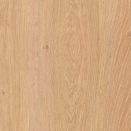 FP041 Дуб Алжирский кремовый