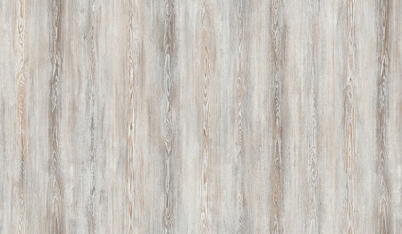 FP558 Сосна Монтана