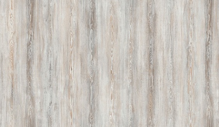 FP558 Сосна Монтана