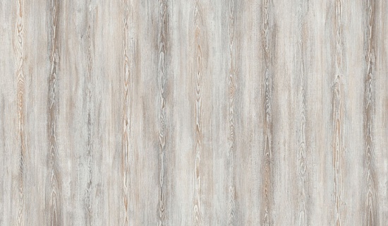 FP558 Сосна Монтана