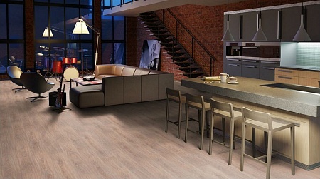 Дуб ТАНГО светлый 504023051